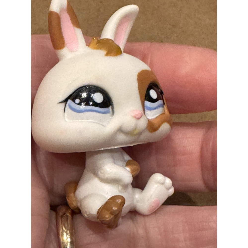 Littlest Pet Shop 2007 Dwarf Rabbit Lot 1067 Postcard Pet & 1359 Pets On The Go - Picture 3 of 10